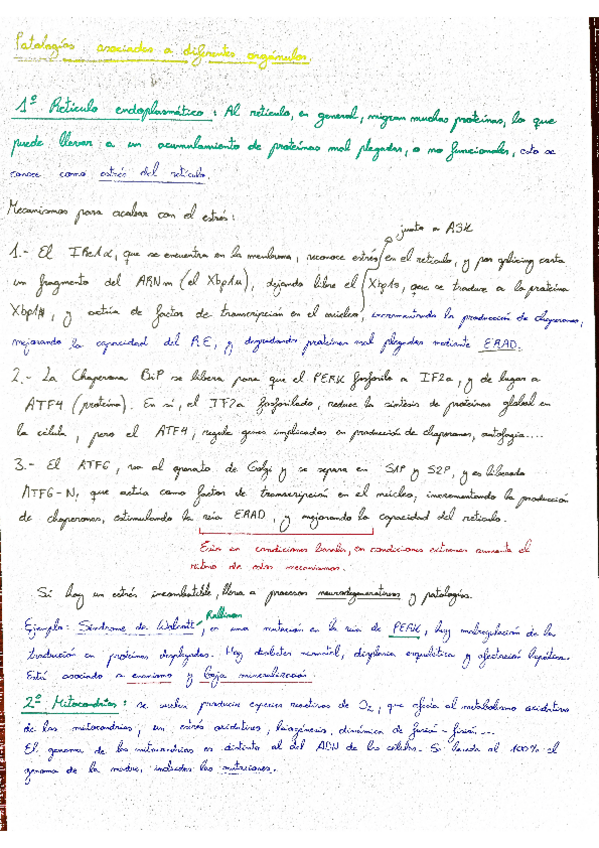 Miniatura del documento Apuntes-Biologia-parte-Isabel.pdf