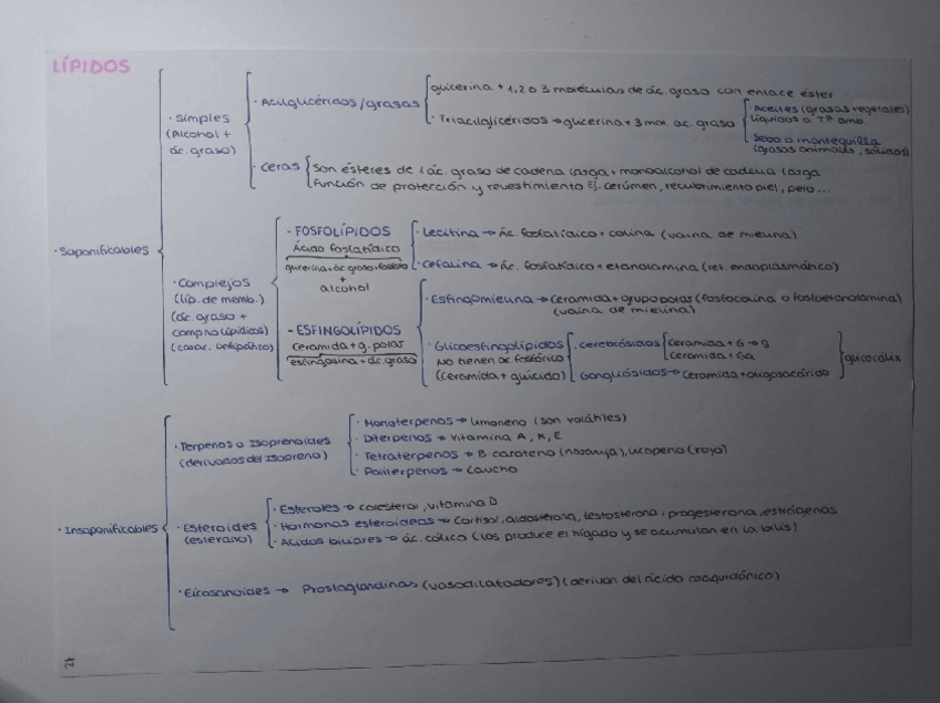 Miniatura del documento Esquema-general-de-los-lipidos-2o-BACHILLERATO.pdf