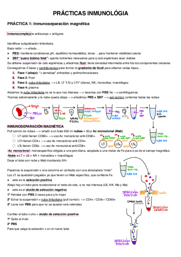 Miniatura del documento ApuntesPRACTICASinmuno.pdf