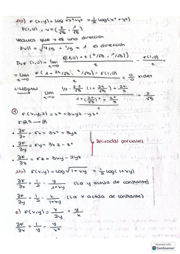 Miniatura del documento Tema-10-Diferenciabilidad.pdf