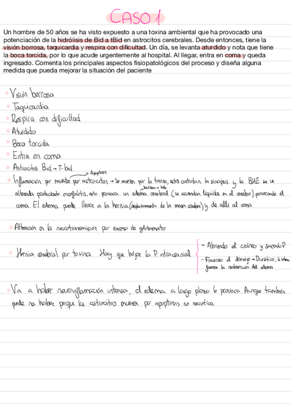 Miniatura del documento CASOS-resueltos-en-clase.pdf