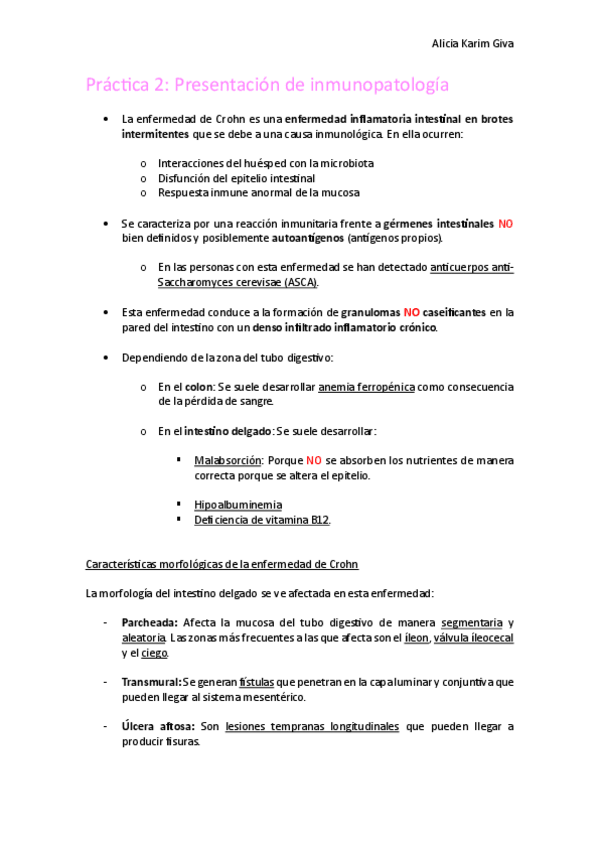 Miniatura del documento Practica-2.pdf
