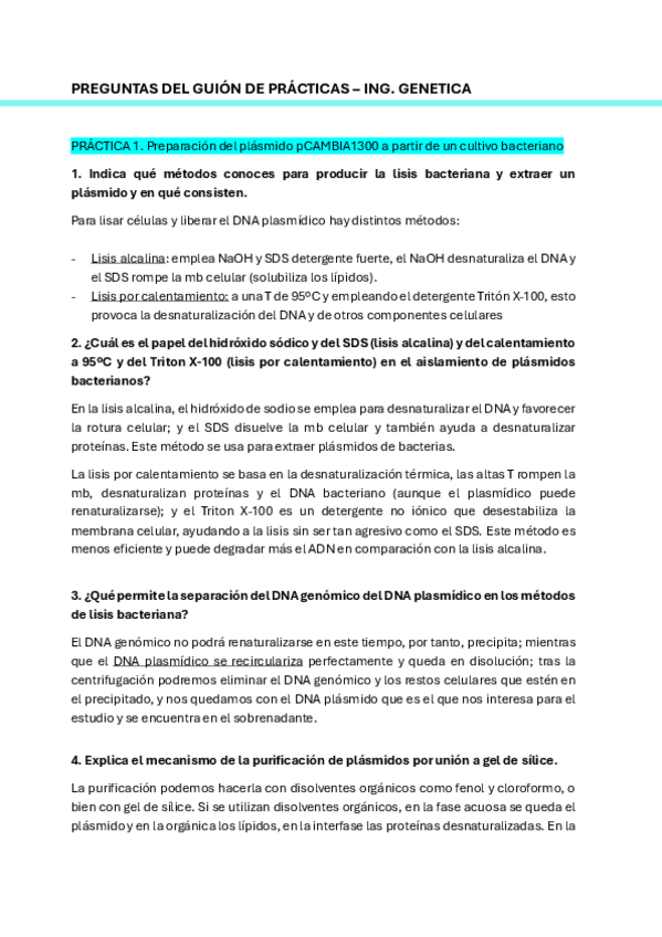 Miniatura del documento Preguntas-LAB-IG-resueltas-COMPLETO.pdf