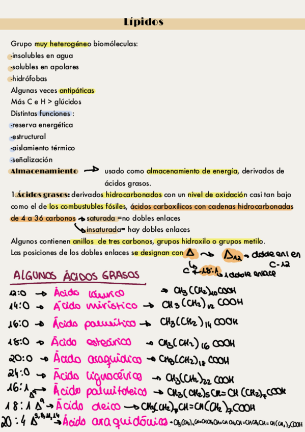 Miniatura del documento Lipidos.pdf