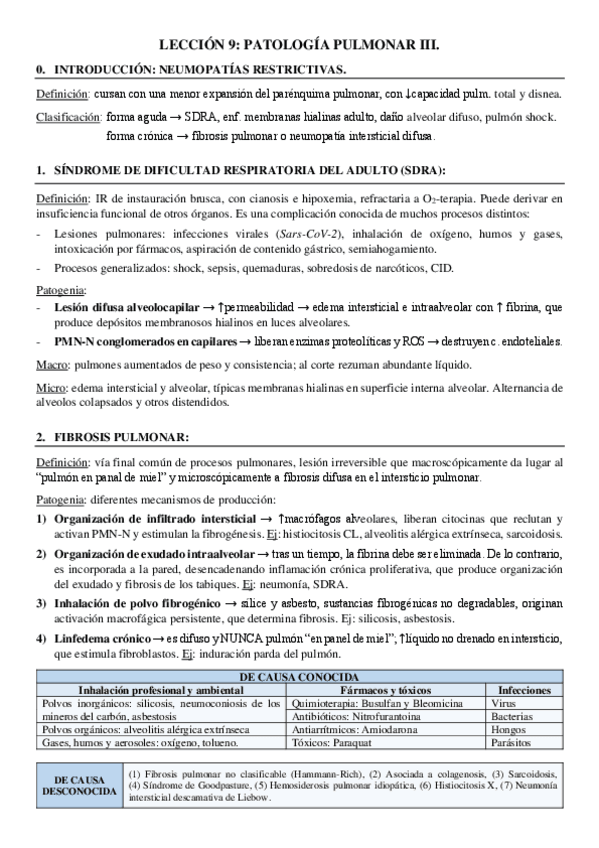Miniatura del documento LECCION-9-APE.pdf