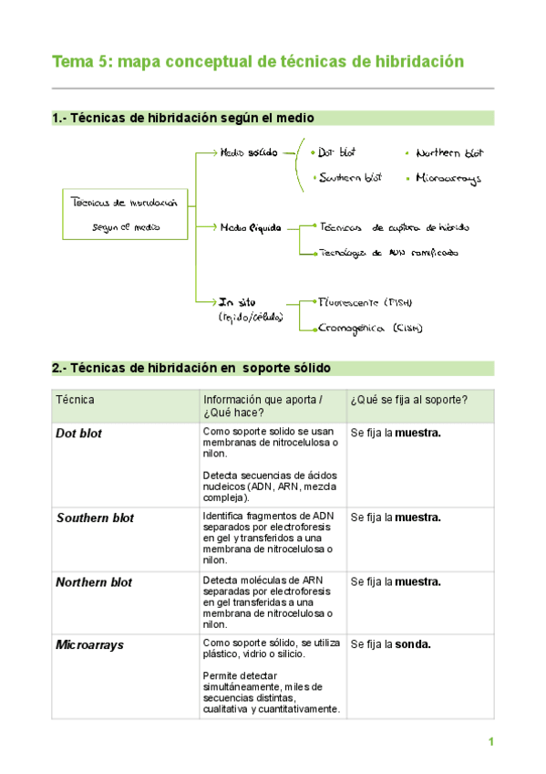 Miniatura del documento Mapa-conceptual-de-tecnicas-de-hibridacion.pdf.pdf
