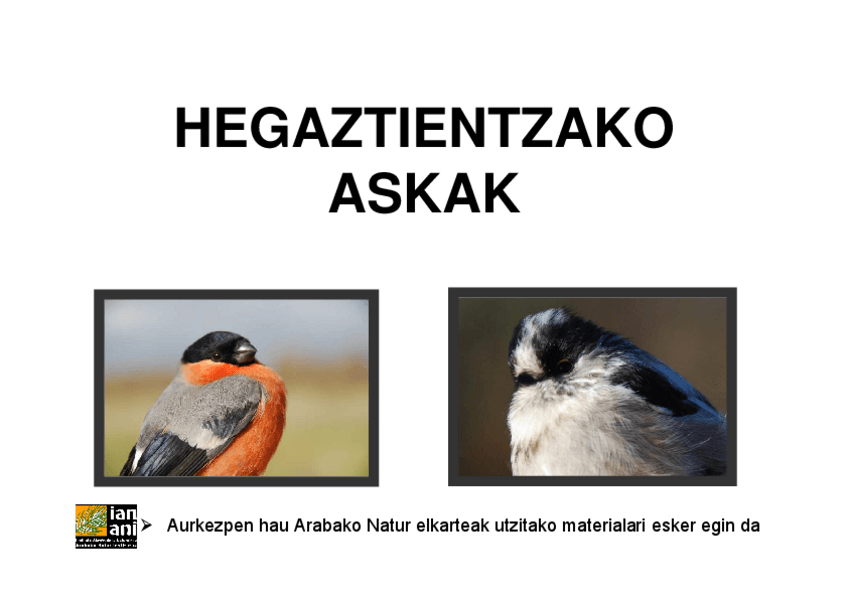 Miniatura del documento Hegaztiaskak-1.pdf