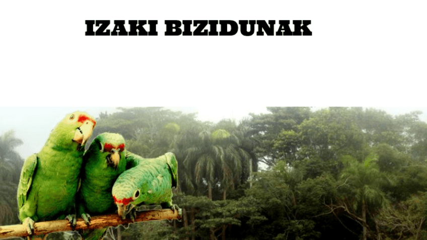 Miniatura del documento Izaki-bizidunak.pdf