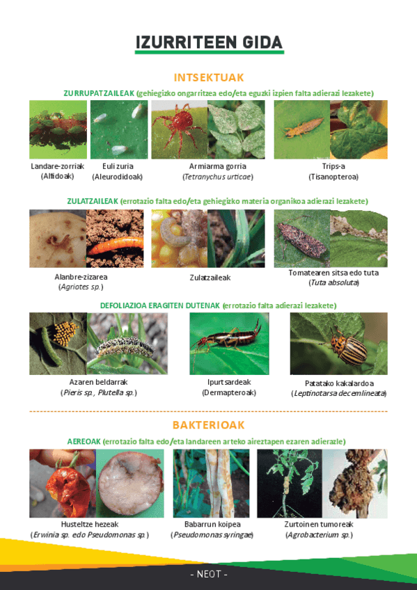 Miniatura del documento IZURRITEEN-GIDA-1.pdf