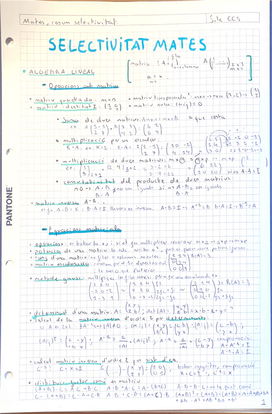 Miniatura del documento Sele-1-Algebra-Lineal.pdf