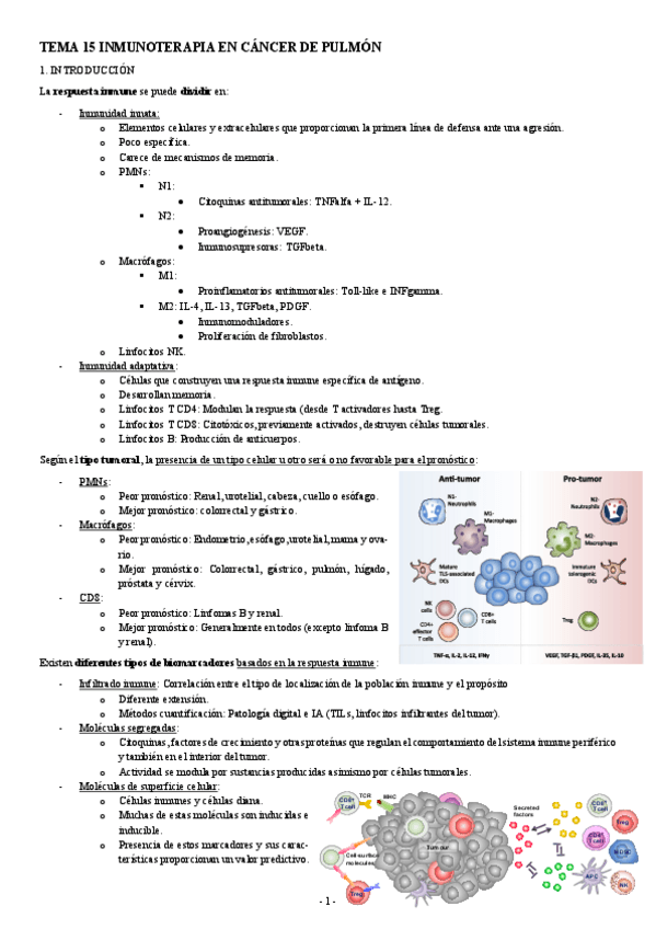 Miniatura del documento ANATOMIA-PATOLOGICA-TEMA-15-INMUNOTERAPIA-EN-CANCER-DE-PULMON.pdf