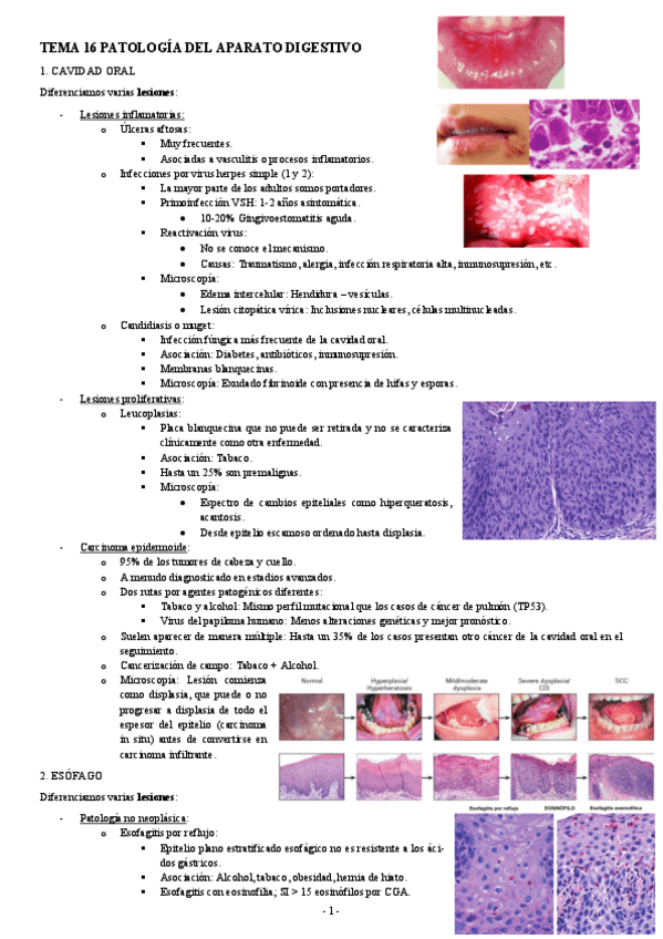 Miniatura del documento ANATOMIA-PATOLOGICA-TEMA-16-PATOLOGIA-DEL-APARATO-DIGESTIVO.pdf