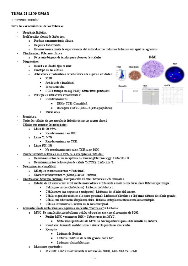 Miniatura del documento ANATOMIA-PATOLOGICA-TEMA-21-LINFOMAS.pdf