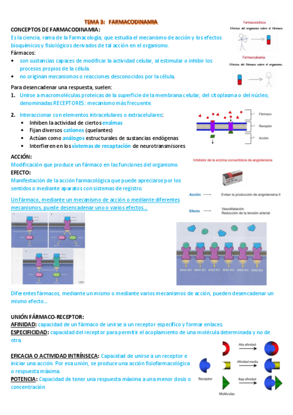 Miniatura del documento Tema-3-farmacodinamica.pdf