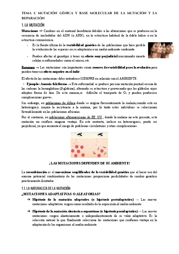 Miniatura del documento Apuntes-Tema-1-Genetica-II-2.pdf