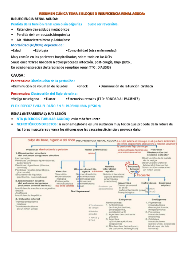 Miniatura del documento resumen-5-insuficiencia-renal-aguda.pdf
