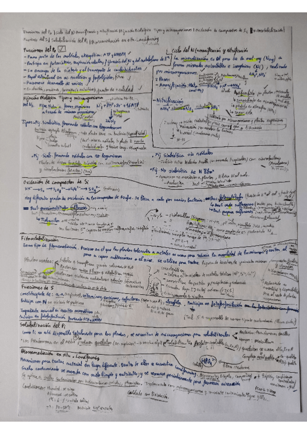 Miniatura del documento Teoria-para-examen-y-teoria-clase-importante.pdf