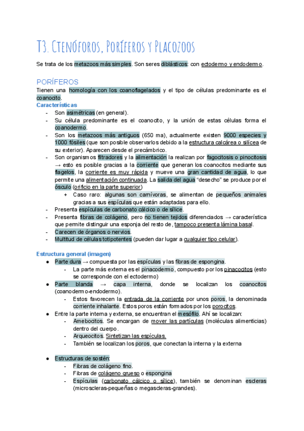 Miniatura del documento T3-Ctenoforos-Poriferos-y-Placozoos.pdf
