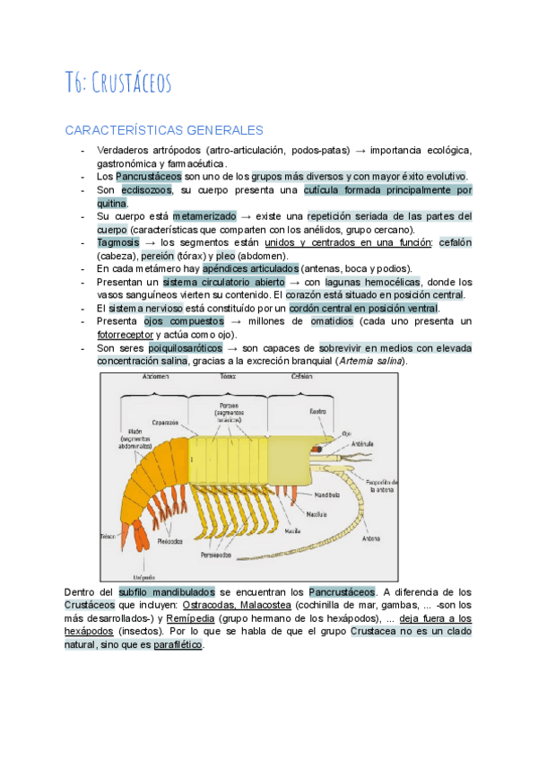 Miniatura del documento T6-Crustaceos.pdf