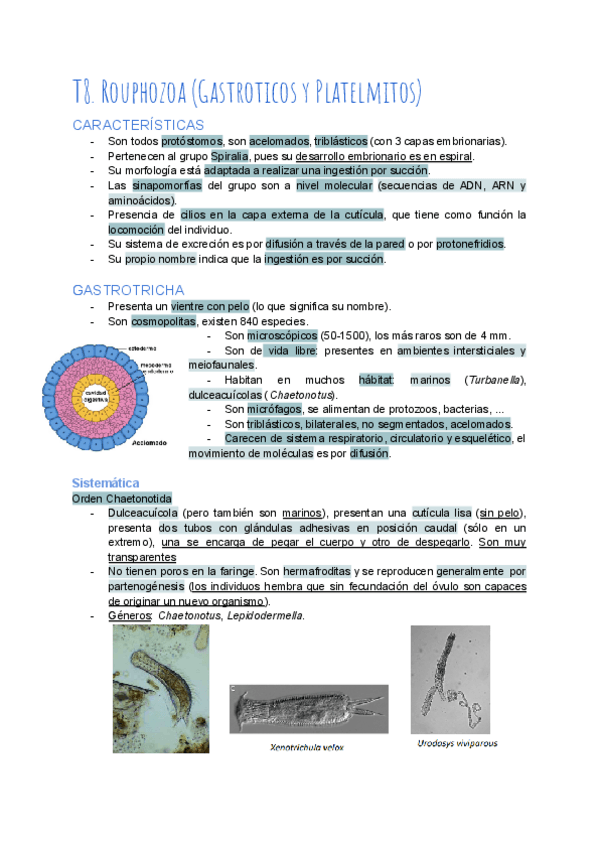 Miniatura del documento T8-Rouphozoa.pdf
