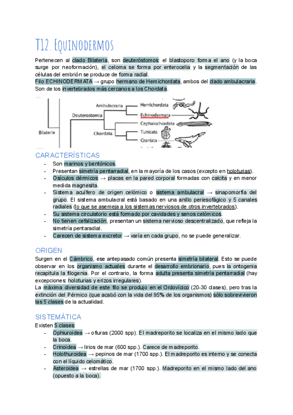 Miniatura del documento T12-Equinodermos.pdf