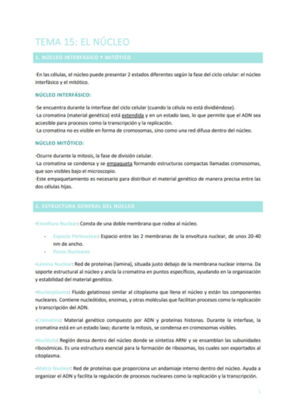 Miniatura del documento TEMA-15-EL-NUCLEO.pdf