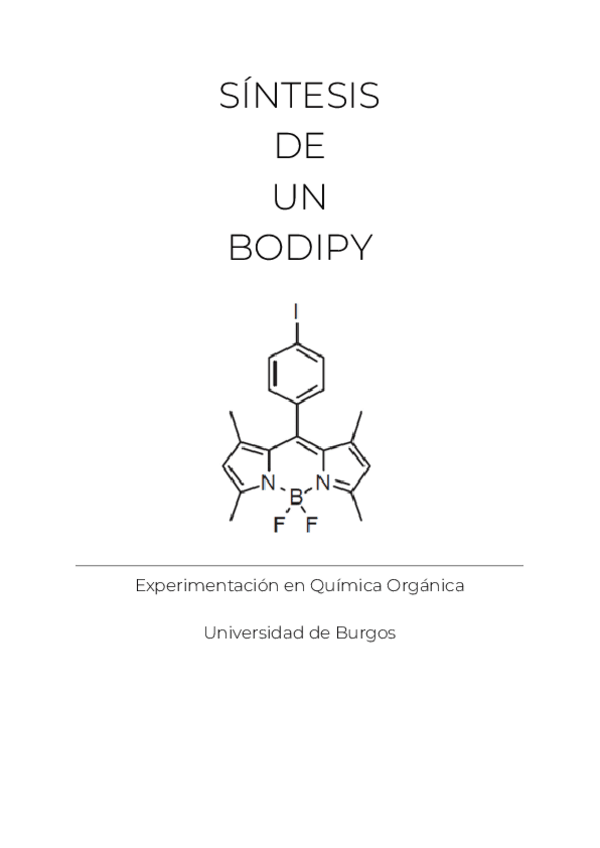 Miniatura del documento BODIPY.docx-1.pdf
