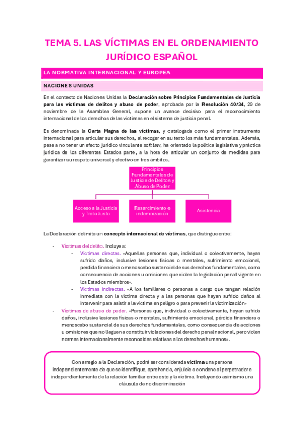 Miniatura del documento T5-Las-victimas-en-el-ordenamiento-juridico-espanol.pdf