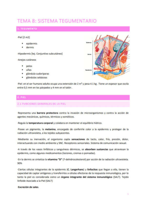 Miniatura del documento TEMA-8-SISTEMA-TEGUMENTARIO.pdf