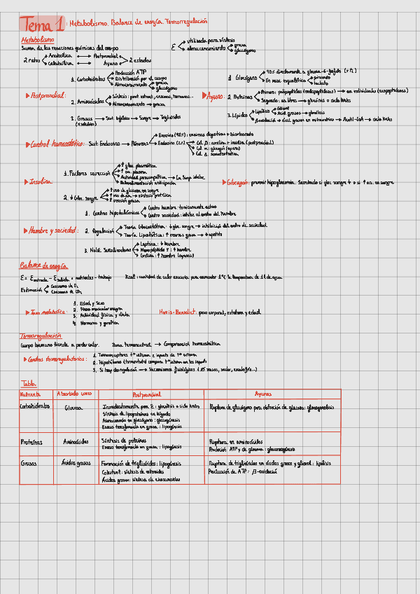 Miniatura del documento Resumenes-Fisio-animal-II.pdf
