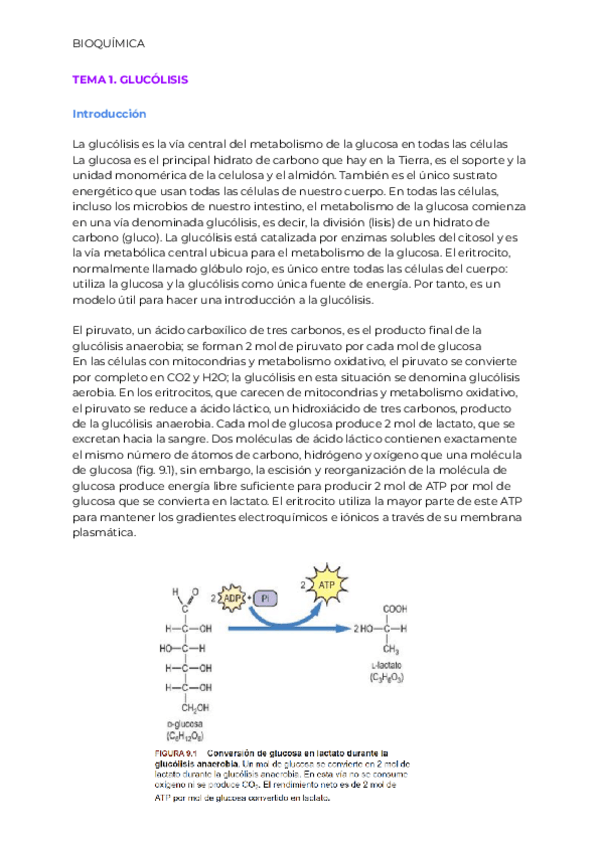 Miniatura del documento TEMA-1.pdf