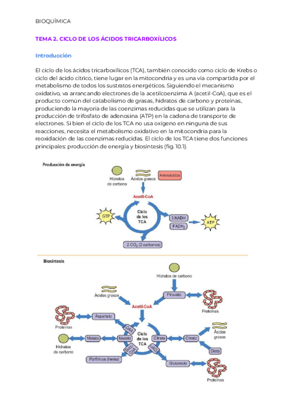 Miniatura del documento TEMA-2.pdf