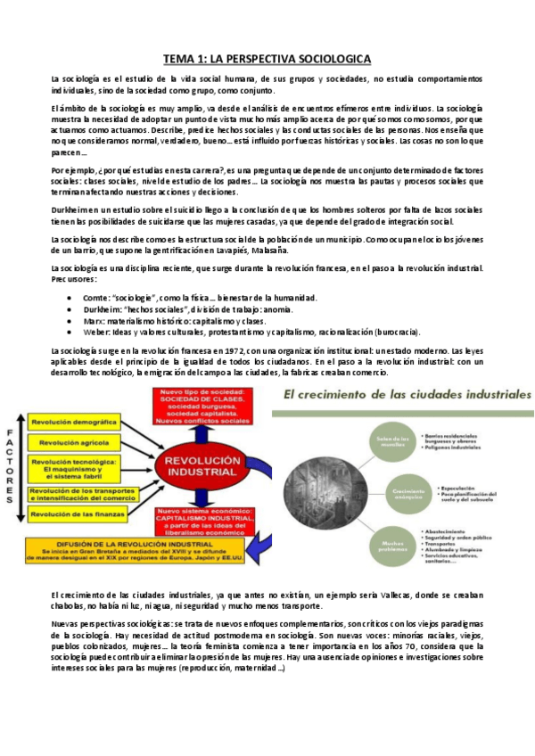 Miniatura del documento APUNTES.pdf