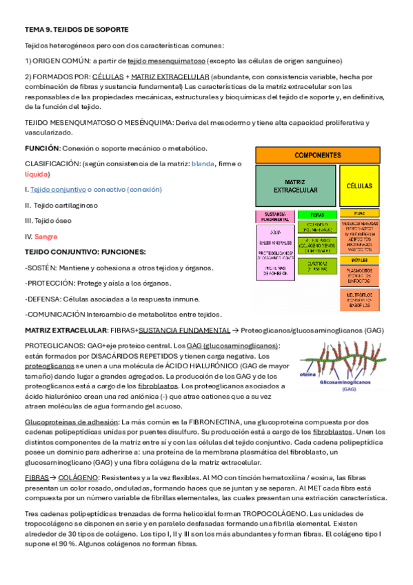 Miniatura del documento TEMA-9-y-10.pdf