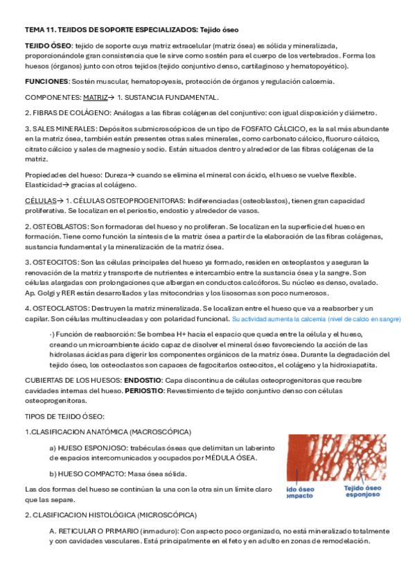 Miniatura del documento TEMA-11-y-12.pdf