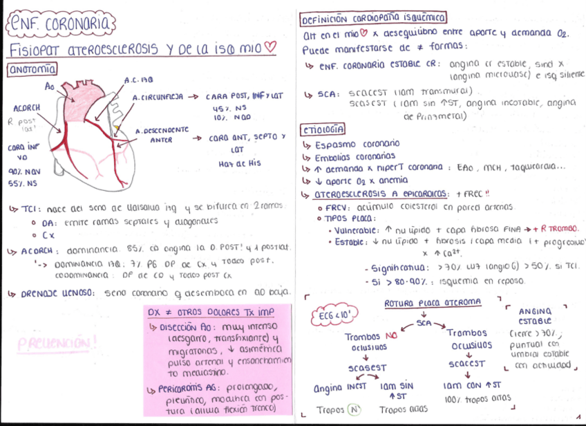 Miniatura del documento ENFERMEDAD-CORONARIA.pdf