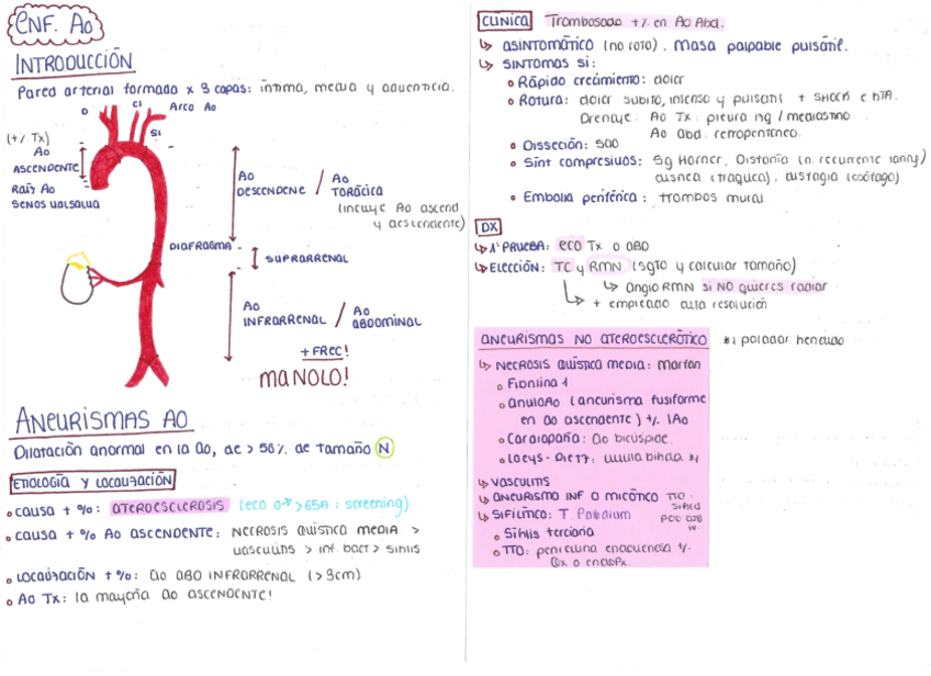 Miniatura del documento ENFEREMDADES-DE-LA-AORTA.pdf
