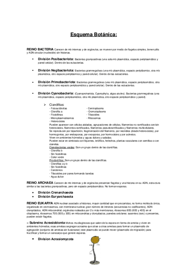 Miniatura del documento Esquemas-de-botanica-1o-semestre-2425.docx