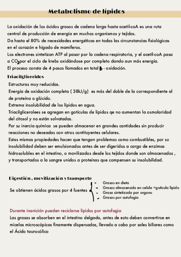 Miniatura del documento Metabolismo-de-lipidos.pdf