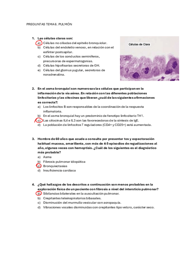 Miniatura del documento Preguntas-T6.pdf