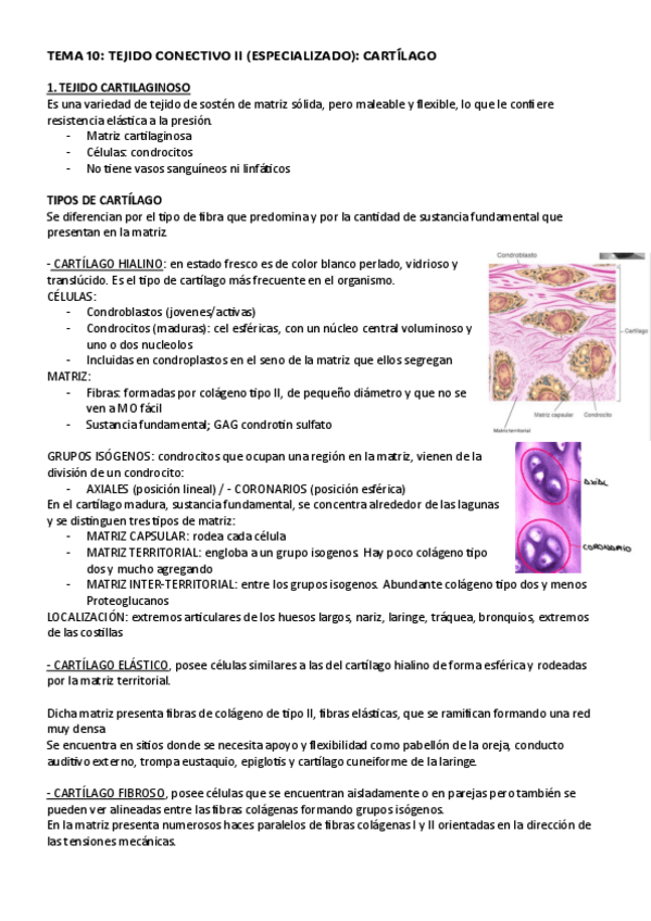 Miniatura del documento TEMA-10.-histo.pdf