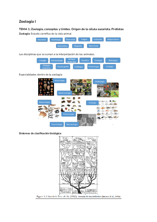 Miniatura del documento ZOOLOGIA-I.pdf