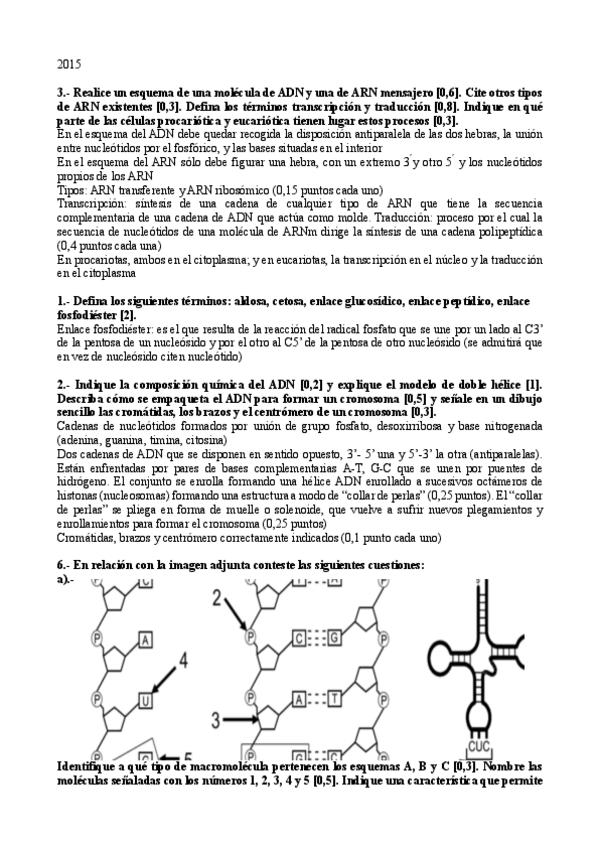 Miniatura del documento 06-PAU-Acidos-Nucleicos.pdf