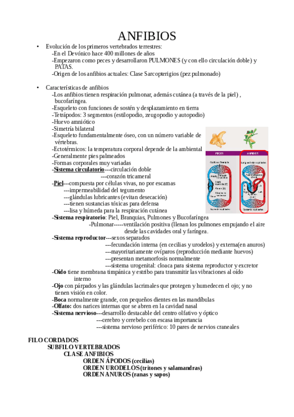 Miniatura del documento ANFIBIOS-TEORIA.pdf