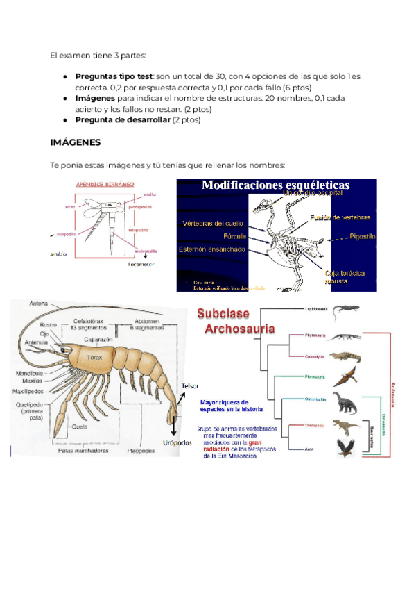Miniatura del documento EXAMEN-MAYO-2025.pdf