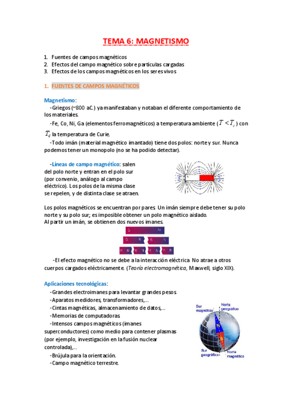 Miniatura del documento Tema 6 Magnetismo.pdf