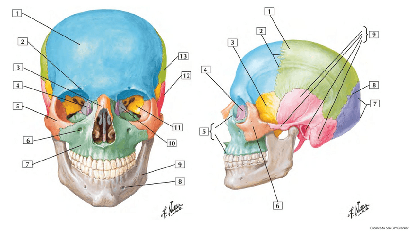 Miniatura del documento Laminas.pdf