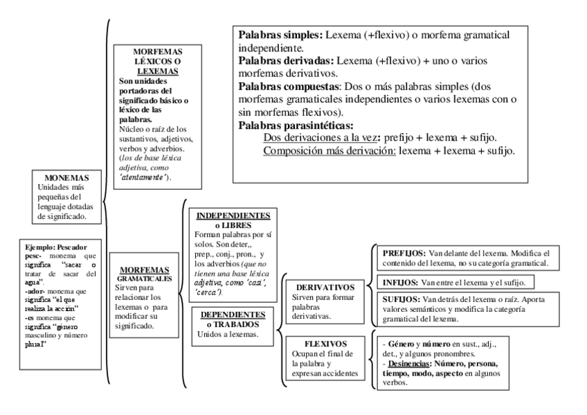 Miniatura del documento Repaso-de-morfologia.pdf