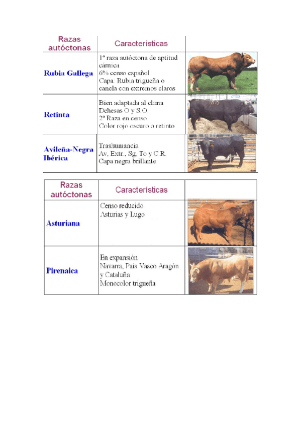 Miniatura del documento ganaderia-razas-fotos.docx