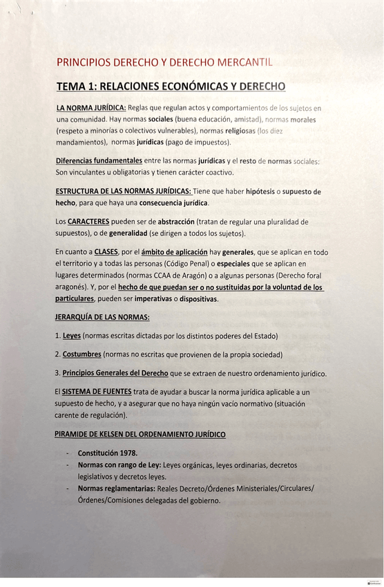Miniatura del documento Principios-de-Derecho-y-Derecho-Mercantil-Apuntes-Tema-1.pdf